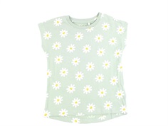 Name It silt green daisy flowers top